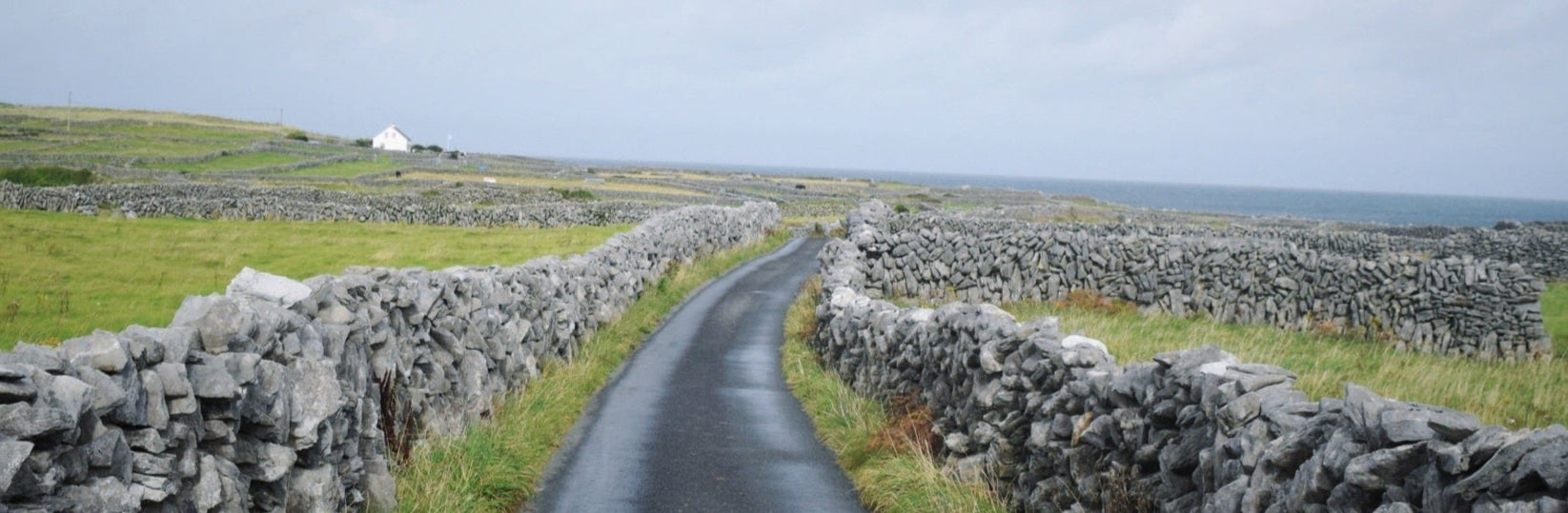 La route d'une distillerie en Irlande